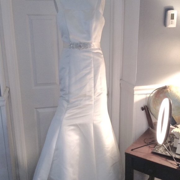 David's Bridal Wedding Dress, "2", Quiet Lux, Simple Mermaid Style, Beautiful - Picture 1 of 10